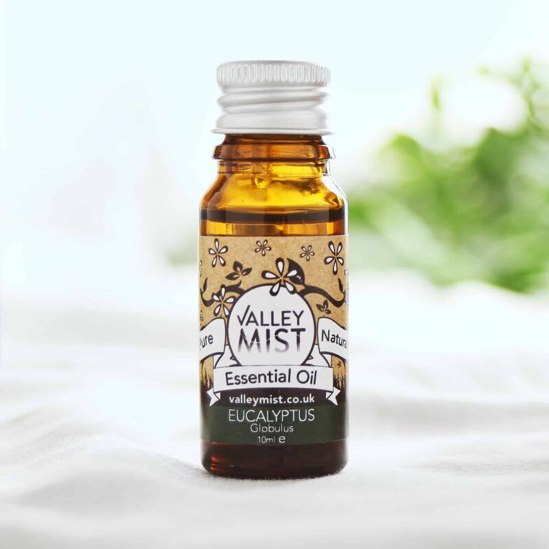 Eucalyptus essential oil 10ml