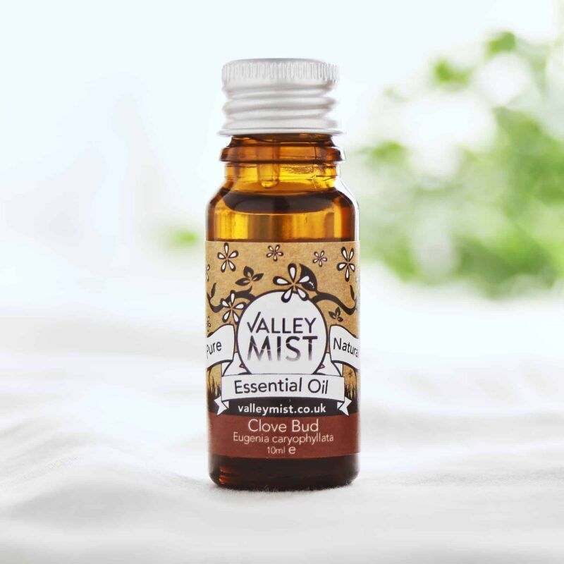 clove bud essential oil 10ml